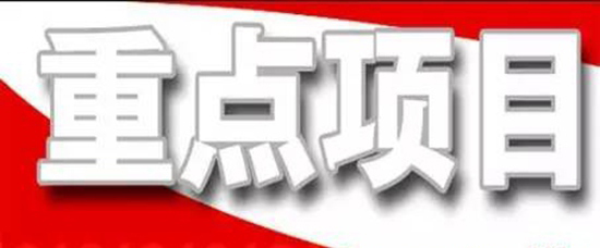抓住项目不放松---王勤光到博富体育集团调研重点项目情况