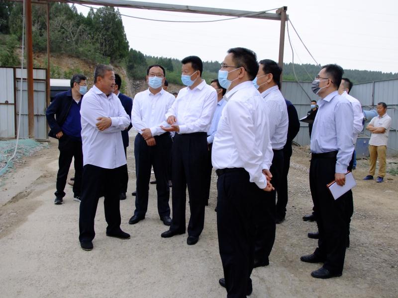 抓住项目不放松---王勤光到博富体育集团调研重点项目情况