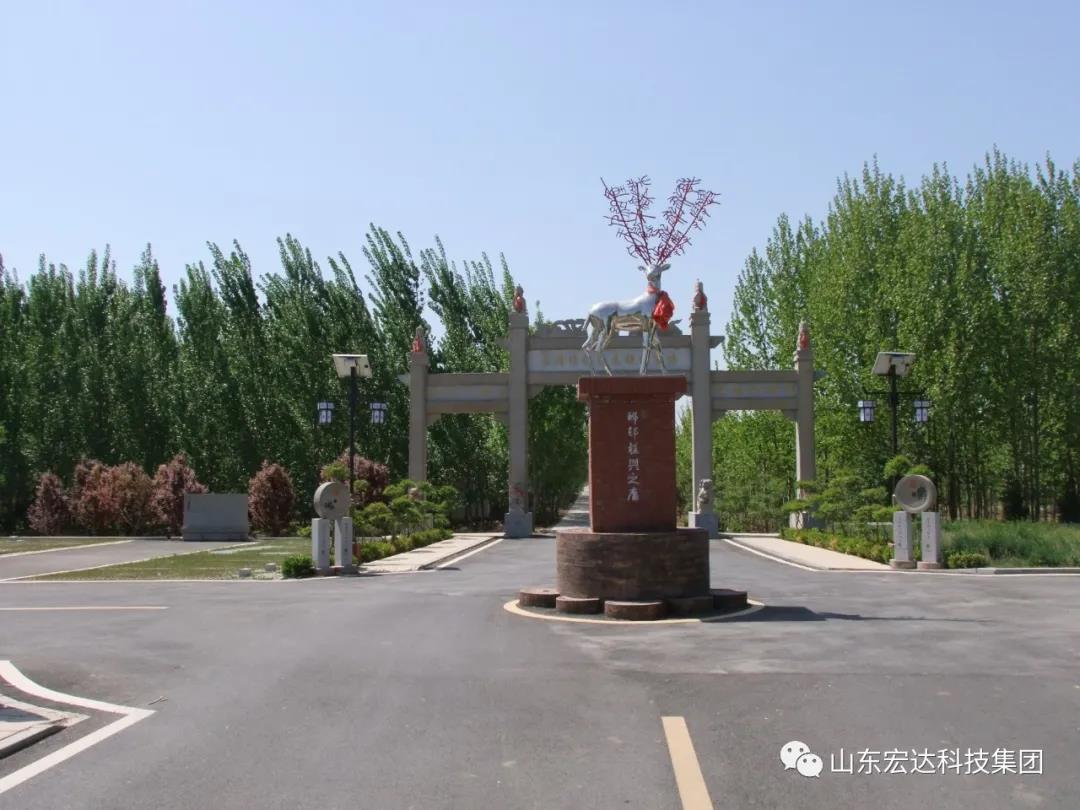 山东博富体育集团举办党史学习教育活动