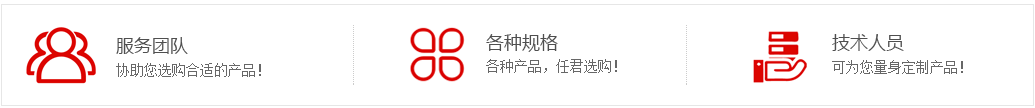 山东博富体育科技技术团队